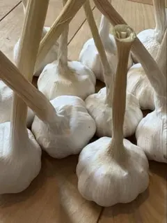 家庭菜園　ニンニク　150g 2026年新物のサムネイル