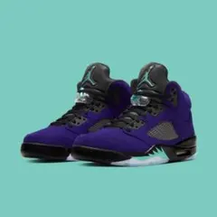 値段交渉可　Air Jordan 5 