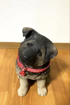 2026年最新】サンディキャストの人気アイテム - メルカリ