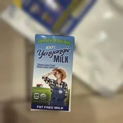 SJMarket superjunior イェソン　キーホルダー　キーリング