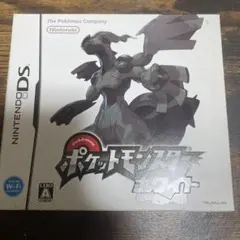 ポケットモンスター ホワイトニンテンドーDS