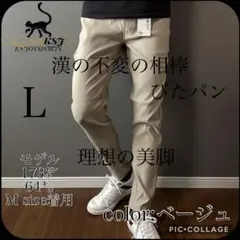 【ぴたパンスキニー】②お洒落オフィスカジュアル大人気ザラロンハーマン 好きな方