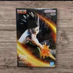2026年最新】hunter×hunter ゴン フィギュア vibration starsの人気