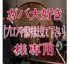 ガバ大好き【プロフや説明は見て下さい】様専用です