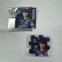 鹿児島ユナイテッドFC 29番 岡崎 慎 選手