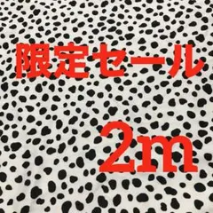 ツイル生地　ダルメシアン柄