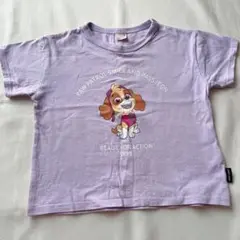 プティマイン　パウパトロール　スカイ　110
