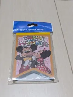 東京ディズニーリゾート メモ用紙 96枚入り 実写