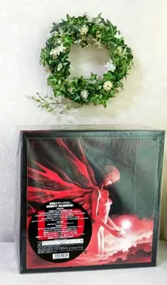 ✨新品未開封✨　新世紀エヴァンゲリオン 劇場版BOX(完全初回限定版) LD