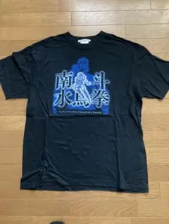 北斗の拳・南斗水鳥拳・レイtシャツのサムネイル