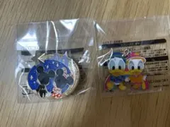 東京ディズニーリゾート ピンバッジ チャーム セット　雨限定　夜限定