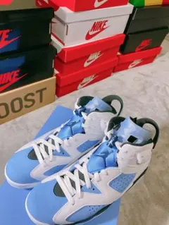Nike Air Jordan 6 