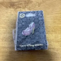 東京ディズニーリゾート ピンコレクション　ピンバッジ