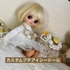 Mさまご専用　カスタムプチアイシードール✴︎ボブちゃん