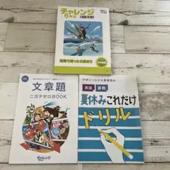 【新品】進研ゼミ チャレンジ6年生 2026 3学期版 夏休みドリル 算数文章題