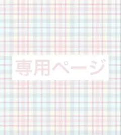 専用ページ 【わんぴちゃん様】