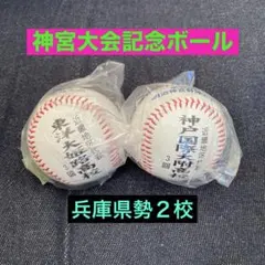 Item thumbnail for item 865e773c-20ce-4285-aefb-cee7725946a5