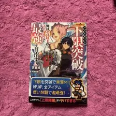 ハズレギフト「下限突破」で俺はゼロ以下のステータスで最強を目指す ～弟が授かっ…