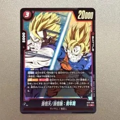 ドラゴンボール フュージョンワールド 孫悟天/孫悟飯青年期 ST01-008 R
