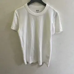 ホワイト コットン 半袖 Tシャツ
