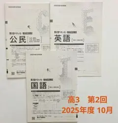 2026年最新】進研模試 2月 高2 大学入学共通テスト模試の人気アイテム