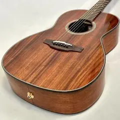 2026年最新】takamine アコースティックギターの人気アイテム - メルカリ