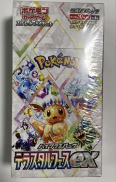 ニケ様　専用　取り置き　テラスタルフェス1BOXシュリンク付き