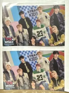 straykids スキズ FCくじ ステッカー  全員