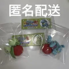 ポケットモンスター　旅立ちの3匹　チョコエッグ　チコリータ　ワニノコ　ポケモン