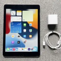 2026年最新】ipad air2 128gb wifiの人気アイテム - メルカリ
