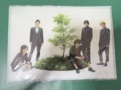 嵐 ARASHI クリアファイル Beautiful World