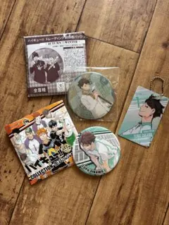 ハイキュー 及川徹セット