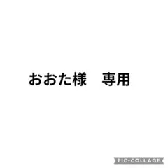 おおた様 リクエスト 2点 まとめ商品