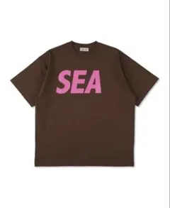WIND AND SEA TEE BROWN XL