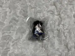 名探偵コナン ぎゅーこっと 毛利蘭 ガチャガチャ