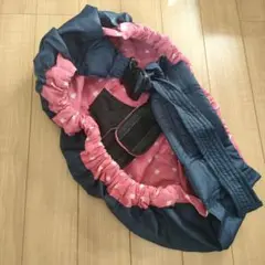 Item thumbnail for item 3ec99af1-ea7f-45af-bc41-79e08d1137af