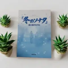 冬のソナタ メイキングDVD 希少品 22年の時を経ても尚色あせない名作！