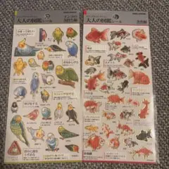 新品未開封 大人の図鑑シール　インコの気持ち編　金魚編　まとめ売り