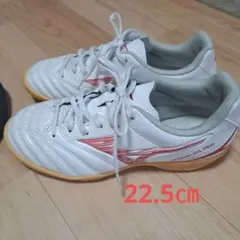 Mizuno モナルシーダネオ フットサルシューズ ホワイト/レッド
