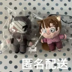 忍たま乱太郎　ほわぬい　ナンジャタウン　雑渡昆奈門 ＆善法寺伊作　匿名配送