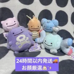 ぬいぐるみへんしん！メタモン カイリュードガース、コイル 5点