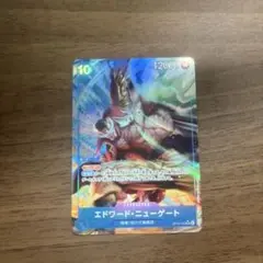 エドワード・ニューゲート 白ひげ　SRパラレル