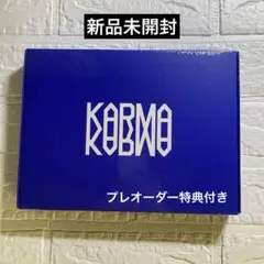 【新品未開封】Stray Kids KARMA 通常盤 アルバム
