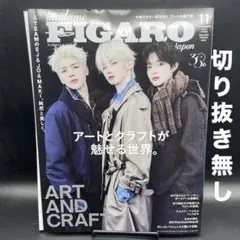 madame FIGARO japon(フィガロジャポン)2025年11月号増刊