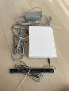 Nintendo Wii RVL-S-WA