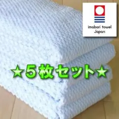 Item thumbnail for item 7513ca3c-8ef0-4f55-81b6-b88c713519fc