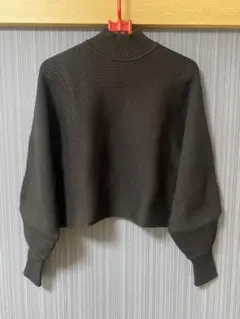 ZARA ハイネックショート丈セーター