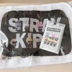 スキズ RUN IT アプグレ トラベル ポーチセット ラゲッジ タグ