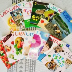 キンダーブック しぜん 【2016年度】12冊セット - メルカリ