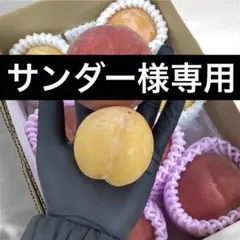 サンダー様専用　白桃　ゆめかおり　プラム　峰満イエロー　ミニミニセット